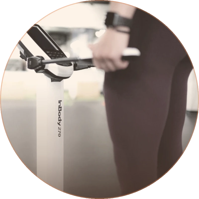 Body Composition service icon - AG Lifecare Clinic